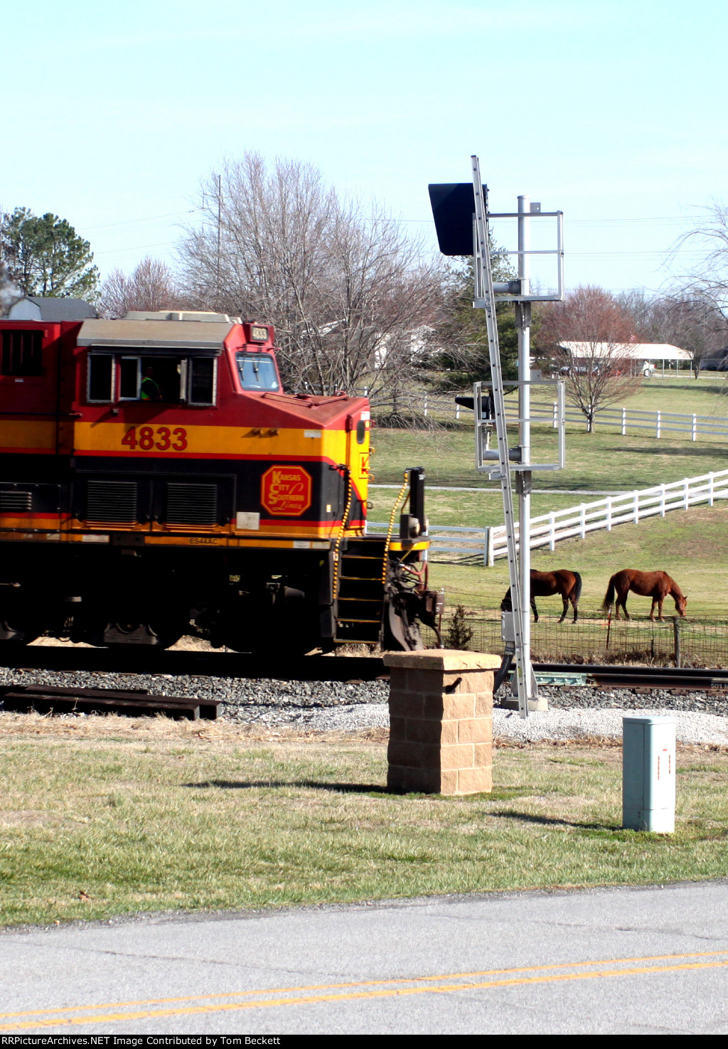 Horsing around